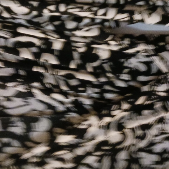 Chico's Women's Black and White Dress Size 2 Check chart above (Size M) - Picture 10 of 11